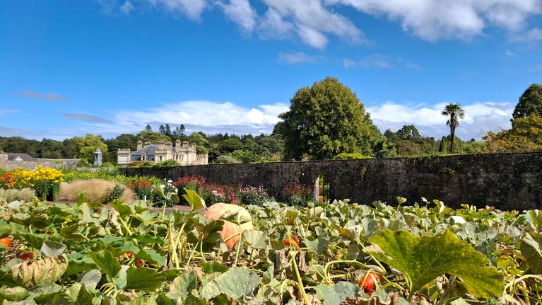 The Walled Garden at Dyffryn Gardens in the early autumn